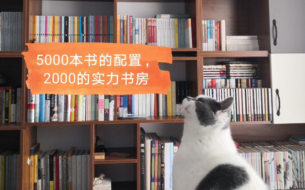 5000本书的书房配置,已经塞了2000多!!!看封闭书柜PK开放书格,你能塞进多少书?哔哩哔哩bilibili