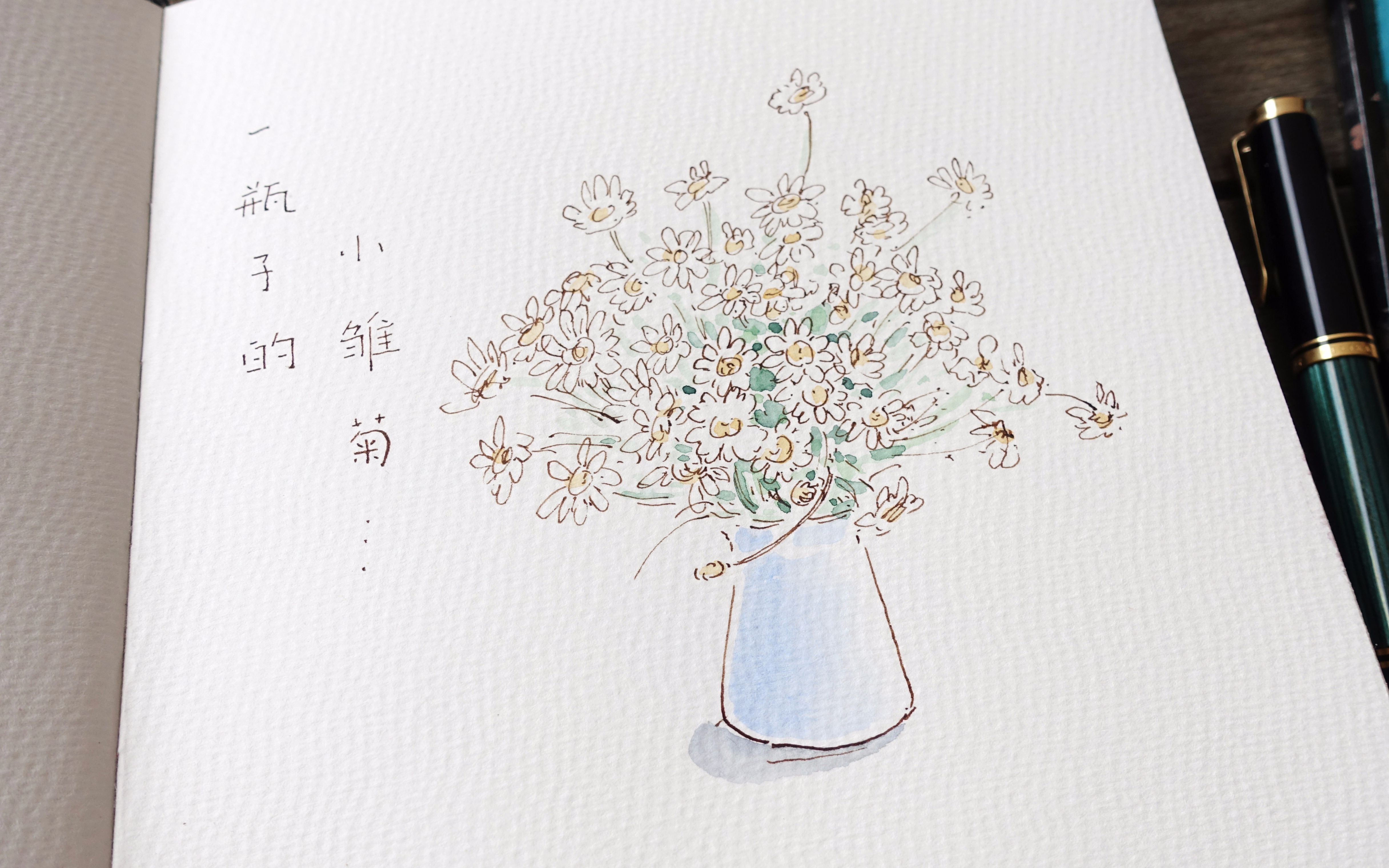 【33期】钢笔淡彩 - 第二季的开始-小雏菊