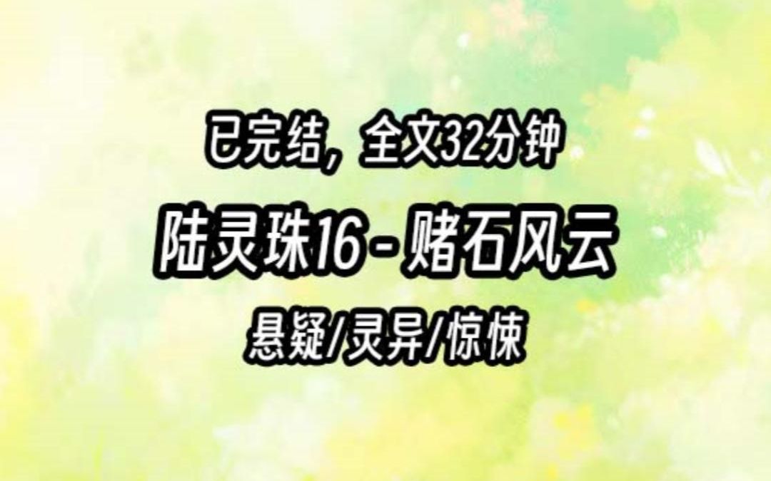 【茅山道士陆灵珠】16 赌石风云哔哩哔哩bilibili