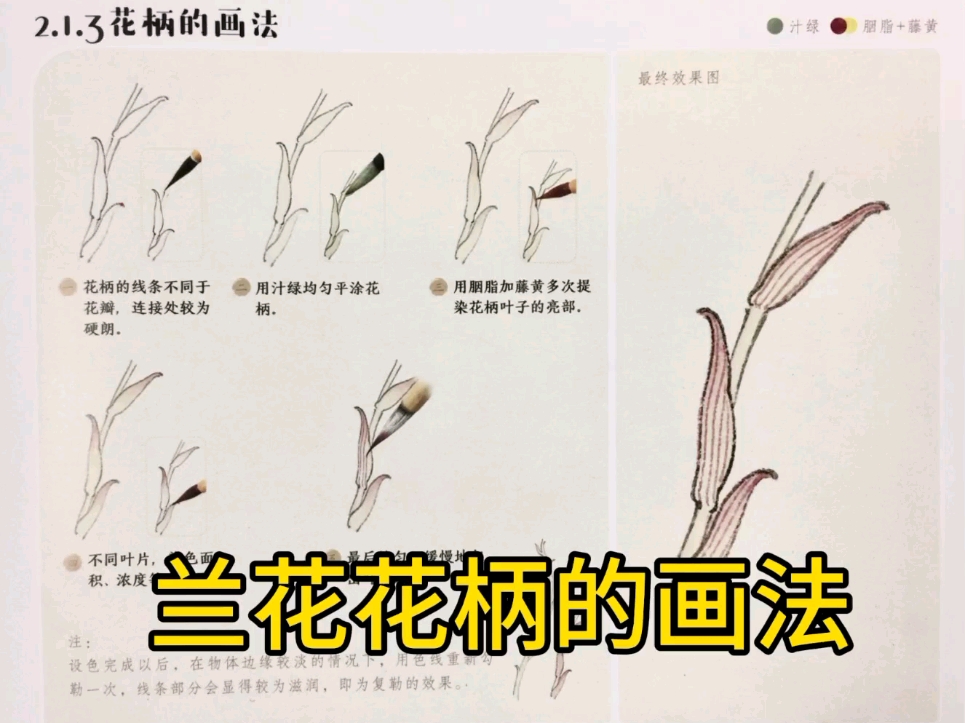 兰花花柄的画法哔哩哔哩bilibili