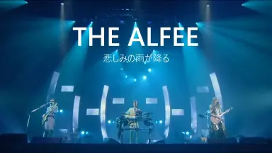 thealfee-哔哩哔哩_Bilibili