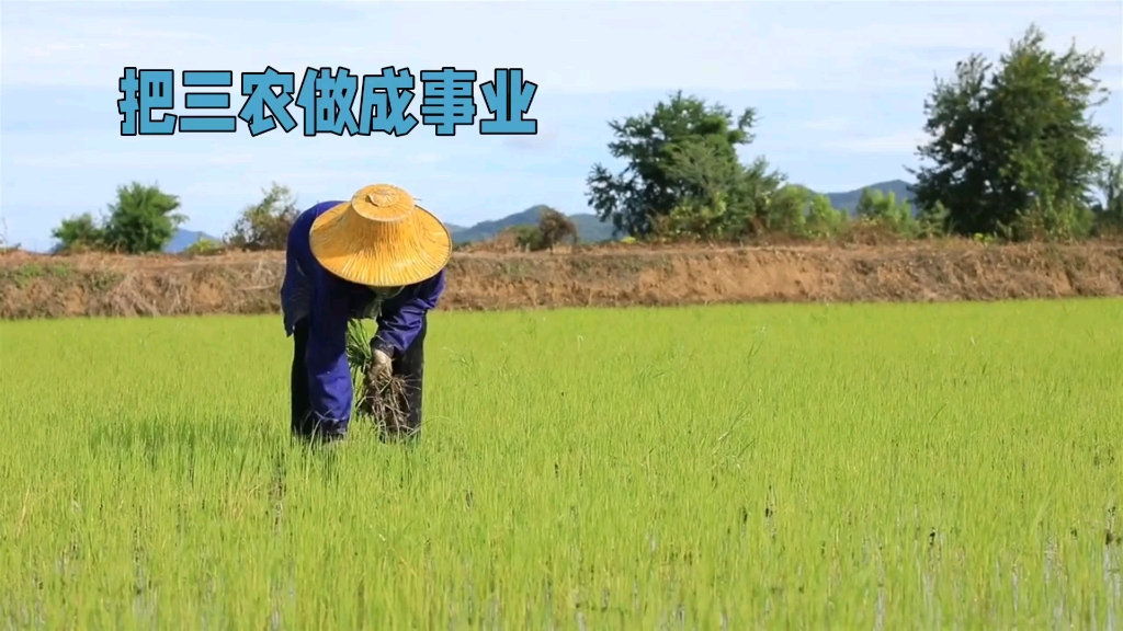 農業,農村與農民:從挑戰到機遇的轉型之路