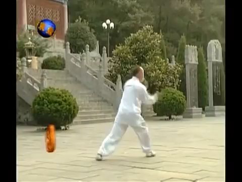 [图]【王占洋】少林七星拳（中华武藏）