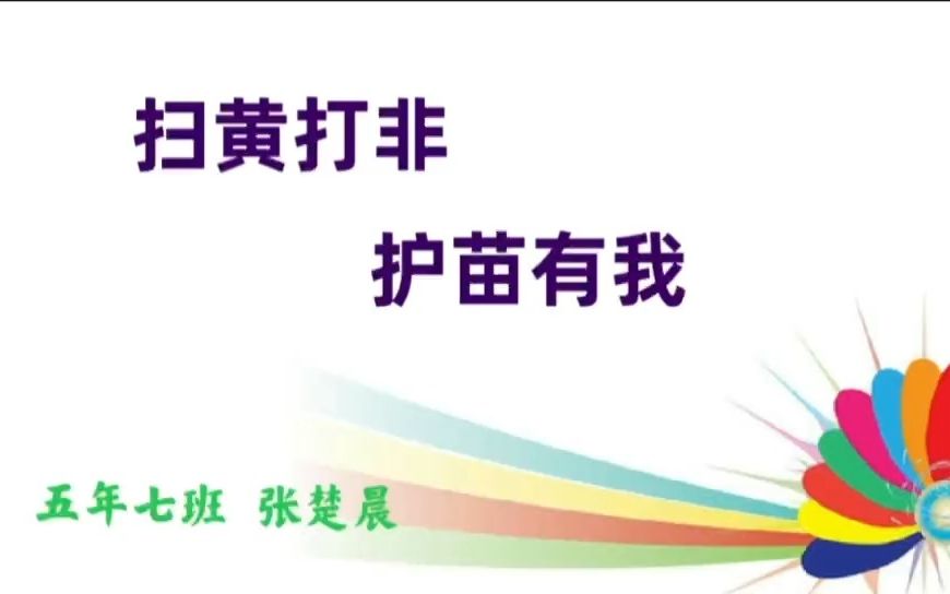 [图]张楚晨 北安小学 5年7班《扫黄打非 护苗有我》