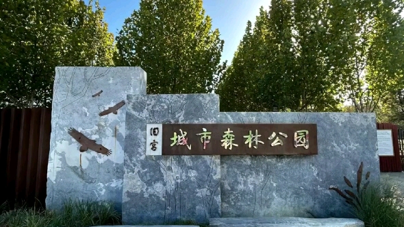 大兴区景点