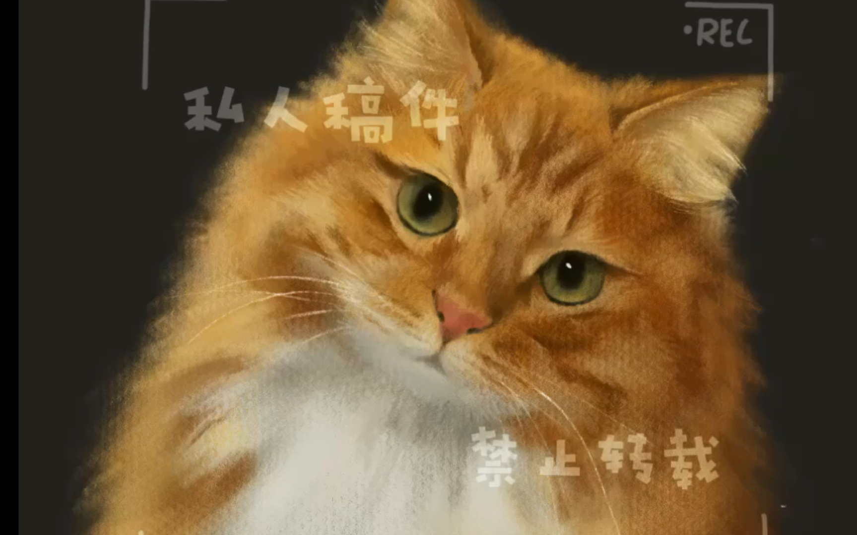 画一个歪头杀长毛橘猫!可爱死了!