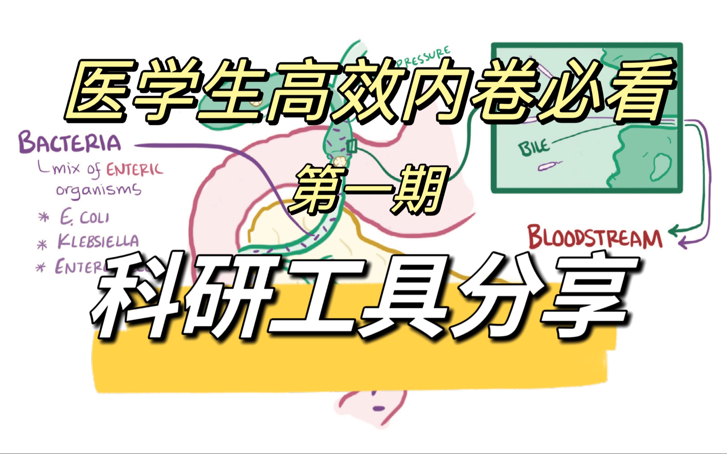 医学生高效科研必看|追踪研究前沿、文献管理、科研技能方法分享哔哩哔哩bilibili