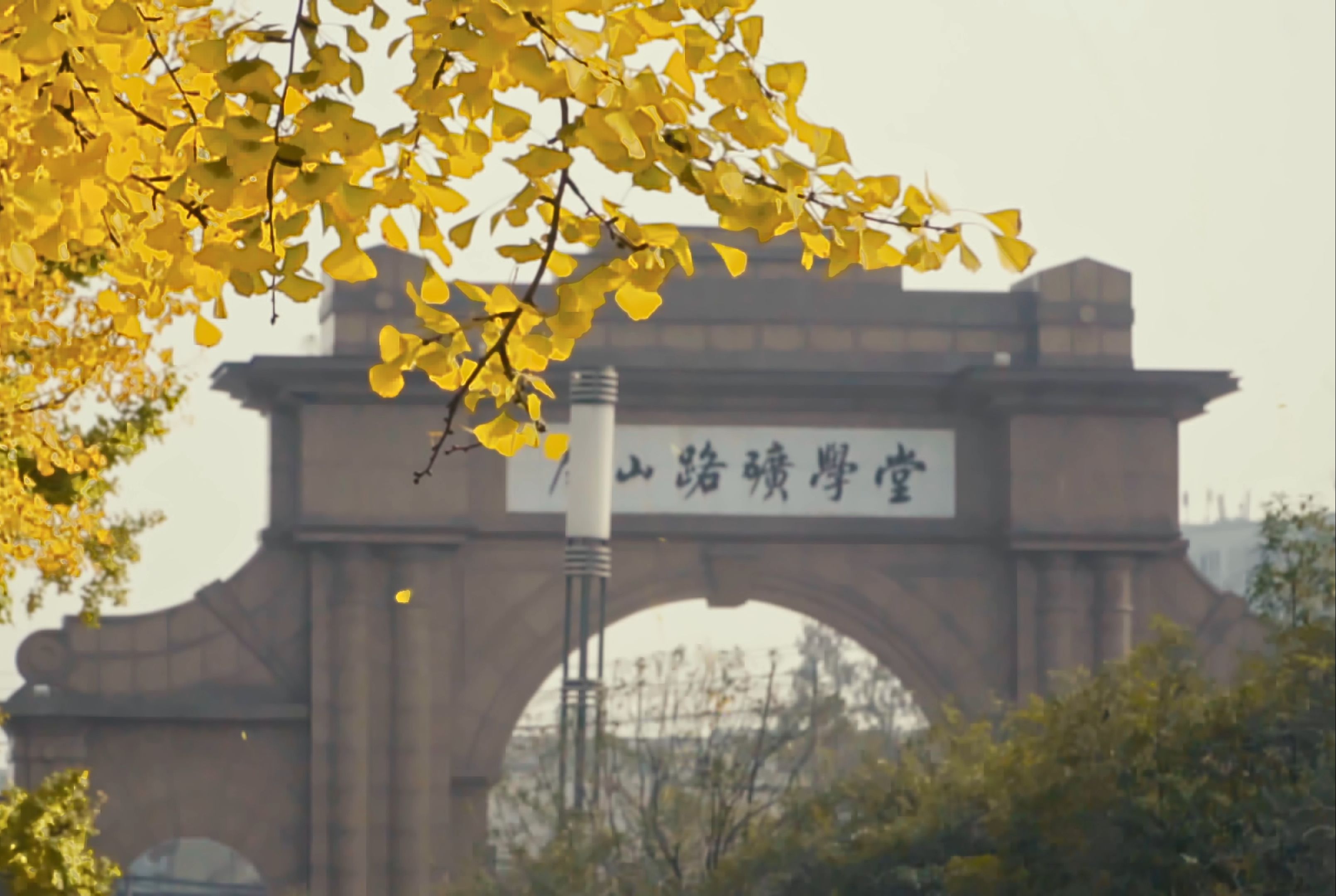 【西南交通大学】金秋时节,交大校园银杏大片!哔哩哔哩bilibili