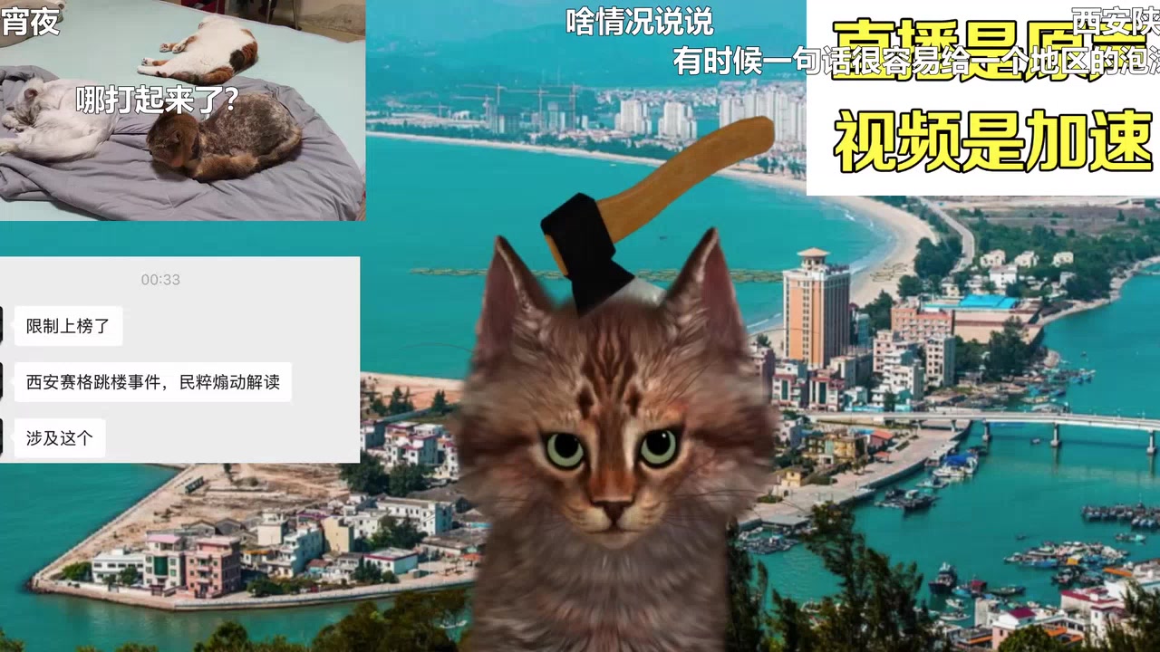 【老猫鱼不吃鱼】打起来了打起来了-2026-07-13 23-52-11 打起来了打起来了-弹幕版