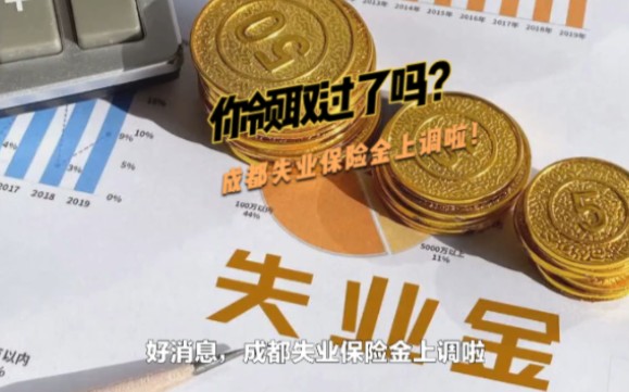 成都失业保险金上调啦!你领取了吗?哔哩哔哩bilibili