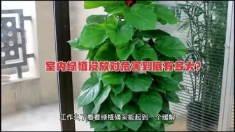 Télécharger la video: 你知道室内绿植对身体危害有多大吗？看完这个视频你还不换盆栽吗