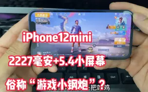 Download Video: 无锁iPhone12mini玩游戏体验，5.4小屏幕续航能力怎样？有谁在用