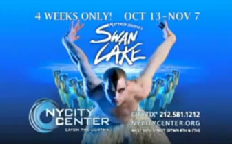 [图]Matthew Bourne's Swan Lake 2010 Official Show and Interview