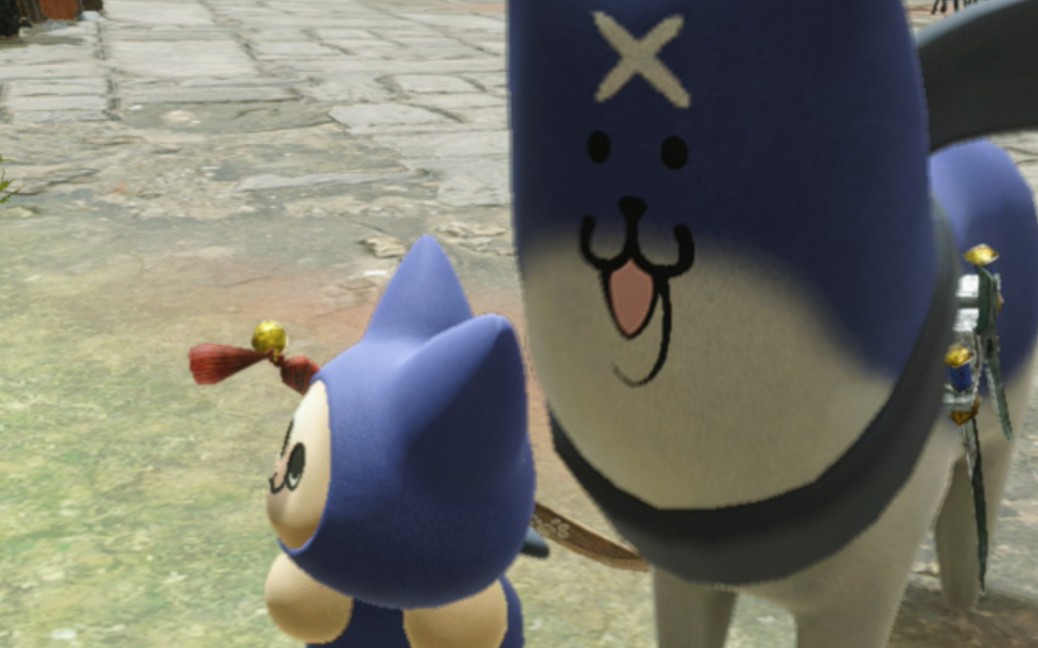 艾露猫特训1分钟纯享版