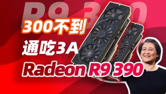 Video herunterladen: 300块不到的大核弹！1080P下淦3A！9年前的R9 390还能再战吗？「穷数码」