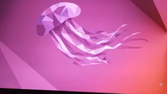 6安装过程讲解