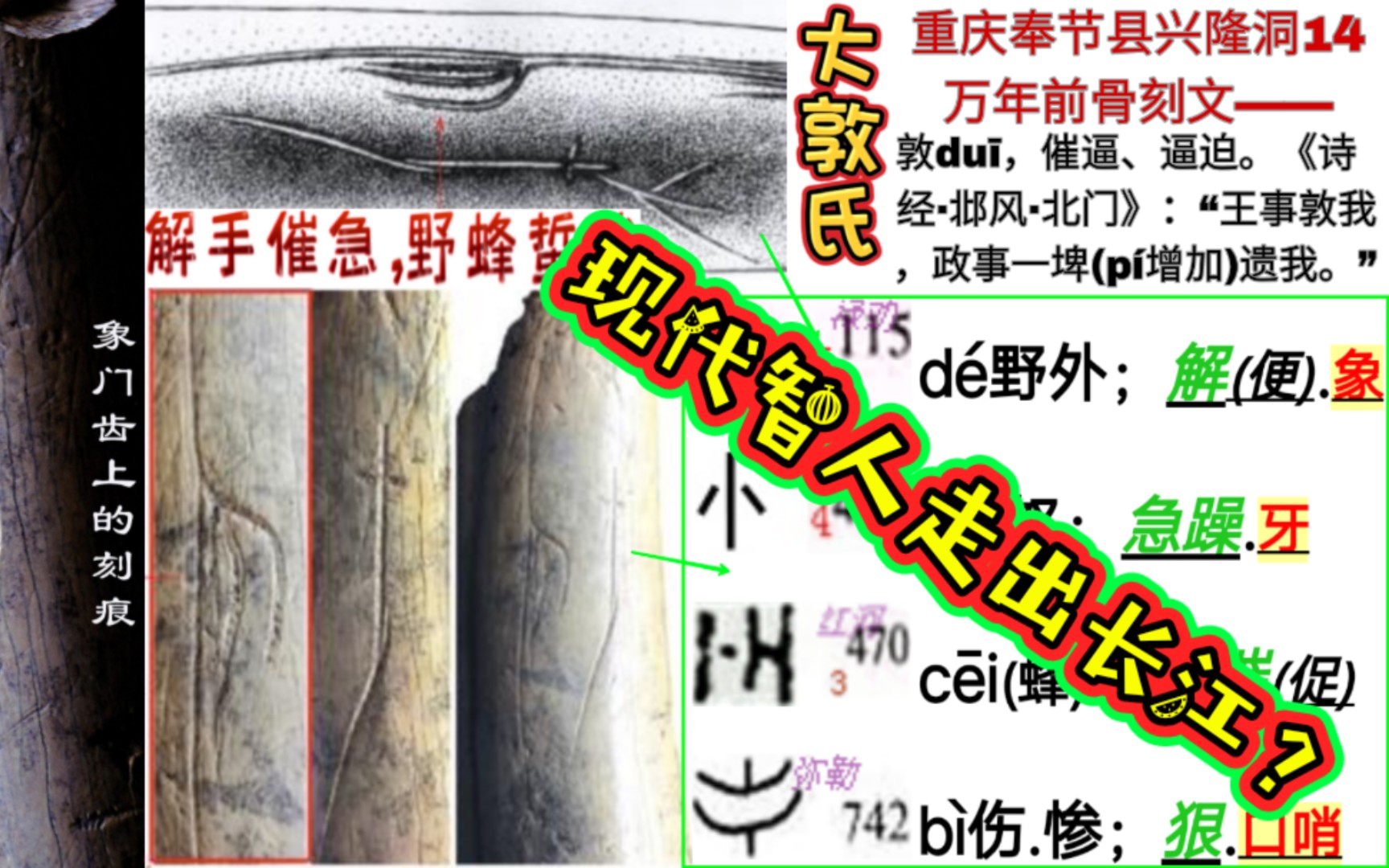 中国14万年前已有成熟文字?你还非要上杆子认个非洲祖宗吗?长江三峡重庆奉节兴隆洞遗址,湖北长阳人《盘古王表》中大敦氏哔哩哔哩bilibili