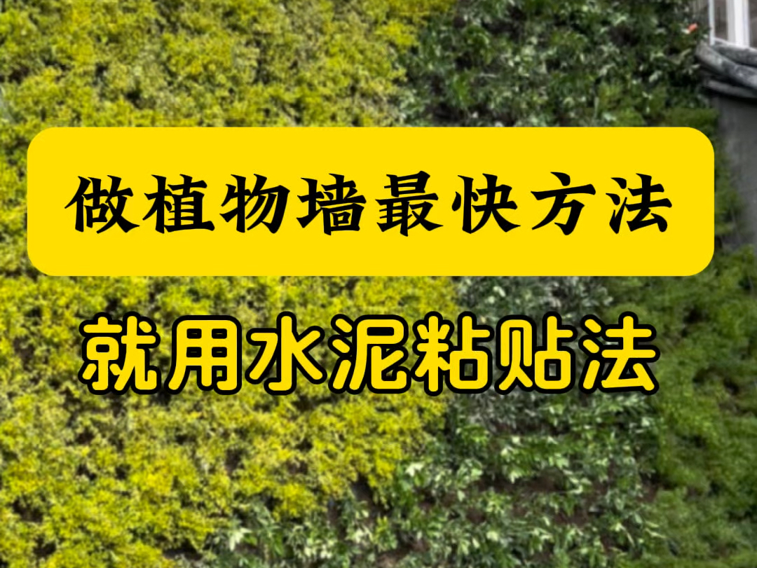 ...安装简单、营养价值高.水泥一抹往墙上一贴,植物一栽,一周后景观效果好得很.#固化土 #植物墙 #垂直绿化 #绿化景观 #绿植墙哔哩哔哩bilibili