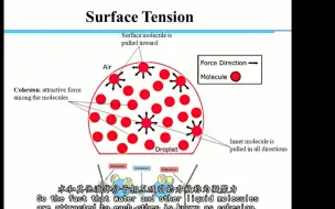 Download Video: CFD讲座21 接触角与润湿性