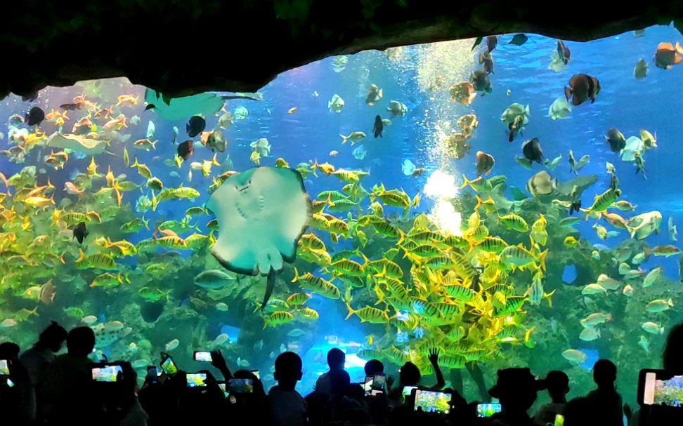 芜湖大白鲸海洋馆图片