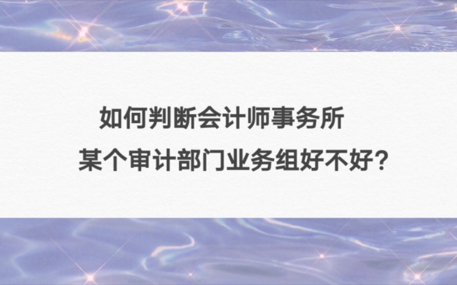 如何判断会计师事务所中某个审计部门业务好呢?哔哩哔哩bilibili