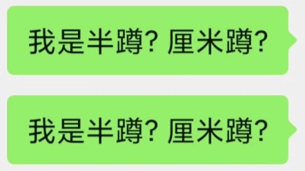 大腿正面与地面夹角45度那才叫半蹲吧?哔哩哔哩bilibili