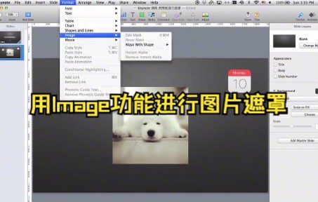 【Keynote技巧】教你在Keynote中用lmage功能进行图片遮罩哔哩哔哩bilibili