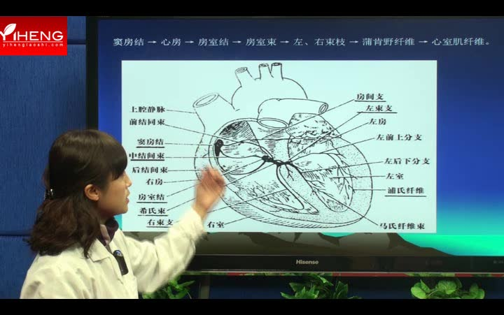 【心电图】第四军医大心电图3小时速成教程哔哩哔哩bilibili