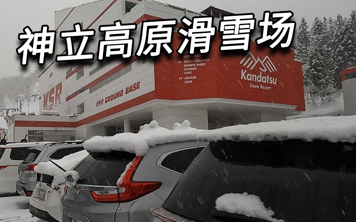 [图]大雪纷飞，你就不能给我放晴一天嘛