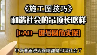86.CAD一键导圆角实操