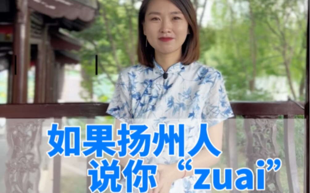 扬州话“zuai”是什么意思?哔哩哔哩bilibili