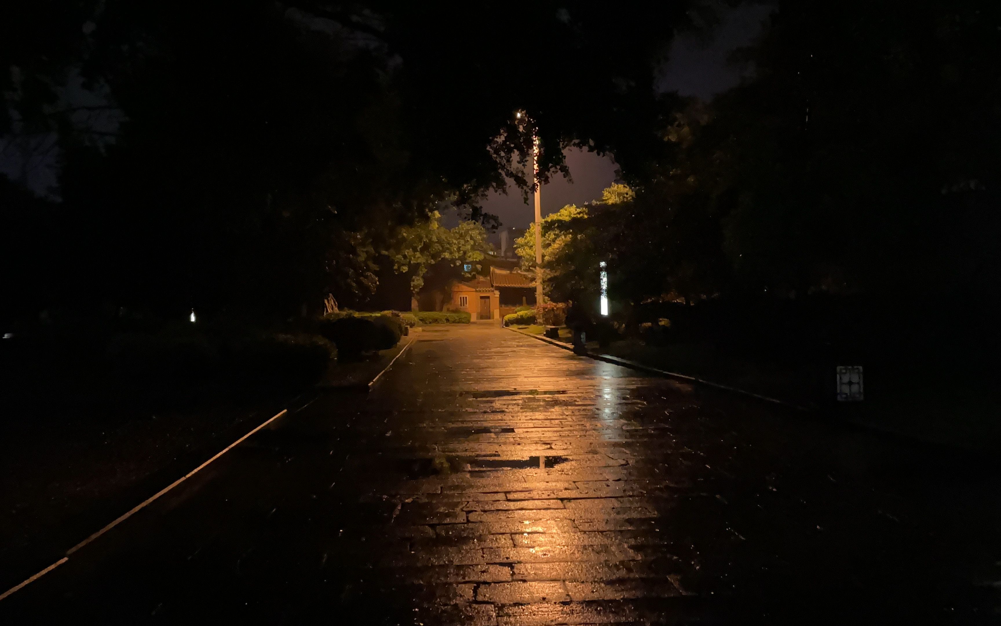 春天夜晚下雨的图片图片