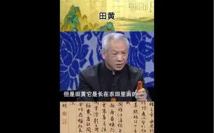 Video herunterladen: 故事很精彩，下次别编了