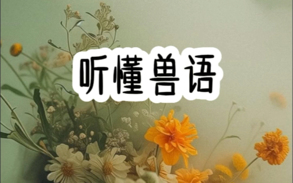 洺(听懂兽语)哔哩哔哩bilibili