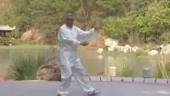 全网最详细的杨式太极拳85式教学杨大卫主讲 7小时47分的 哔哩哔哩 Bilibili