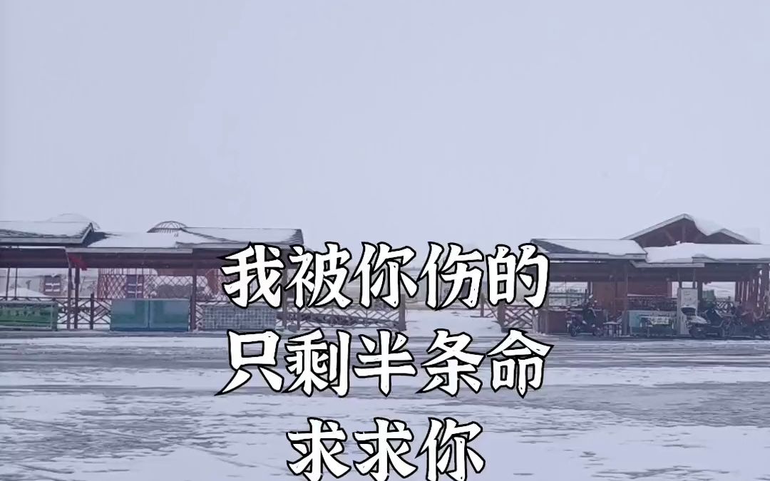 还剩半条命文字图片图片