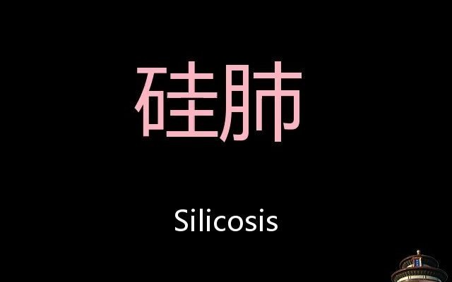 硅肺 Chinese Pronunciation Silicosis哔哩哔哩bilibili