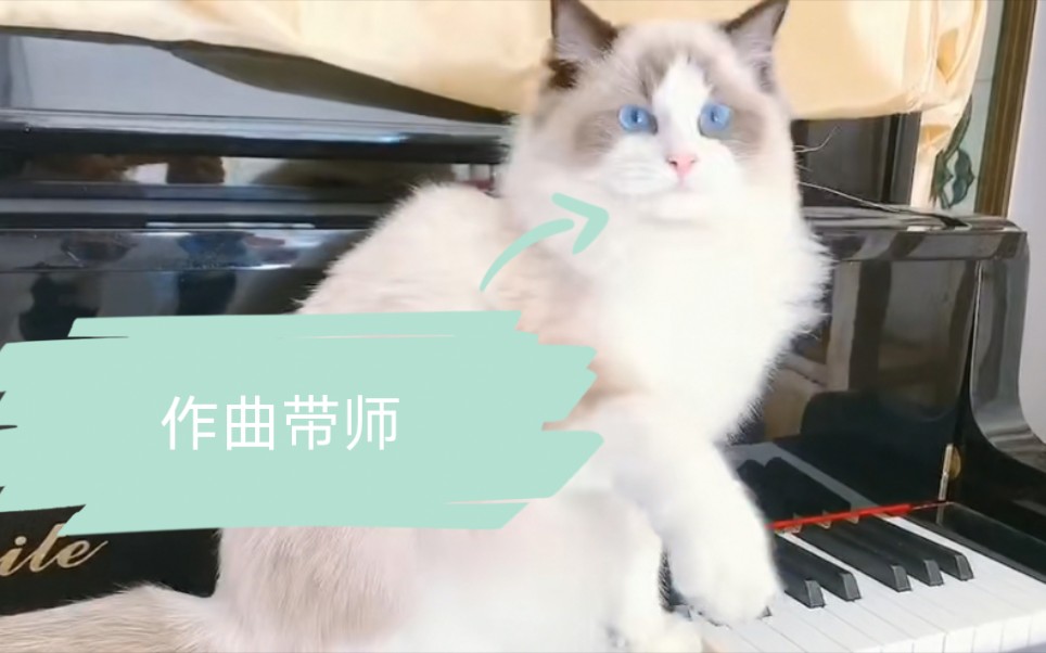 [图]【猫猫&钢琴】 无 调 性 音 乐