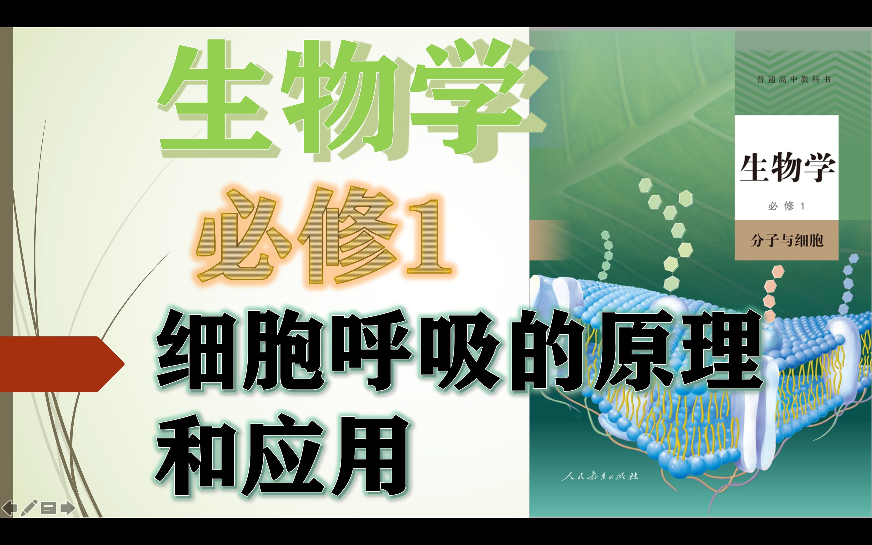 生物必修1第5章第3节细胞呼吸的原理和应用3有氧呼吸无氧呼吸的应用