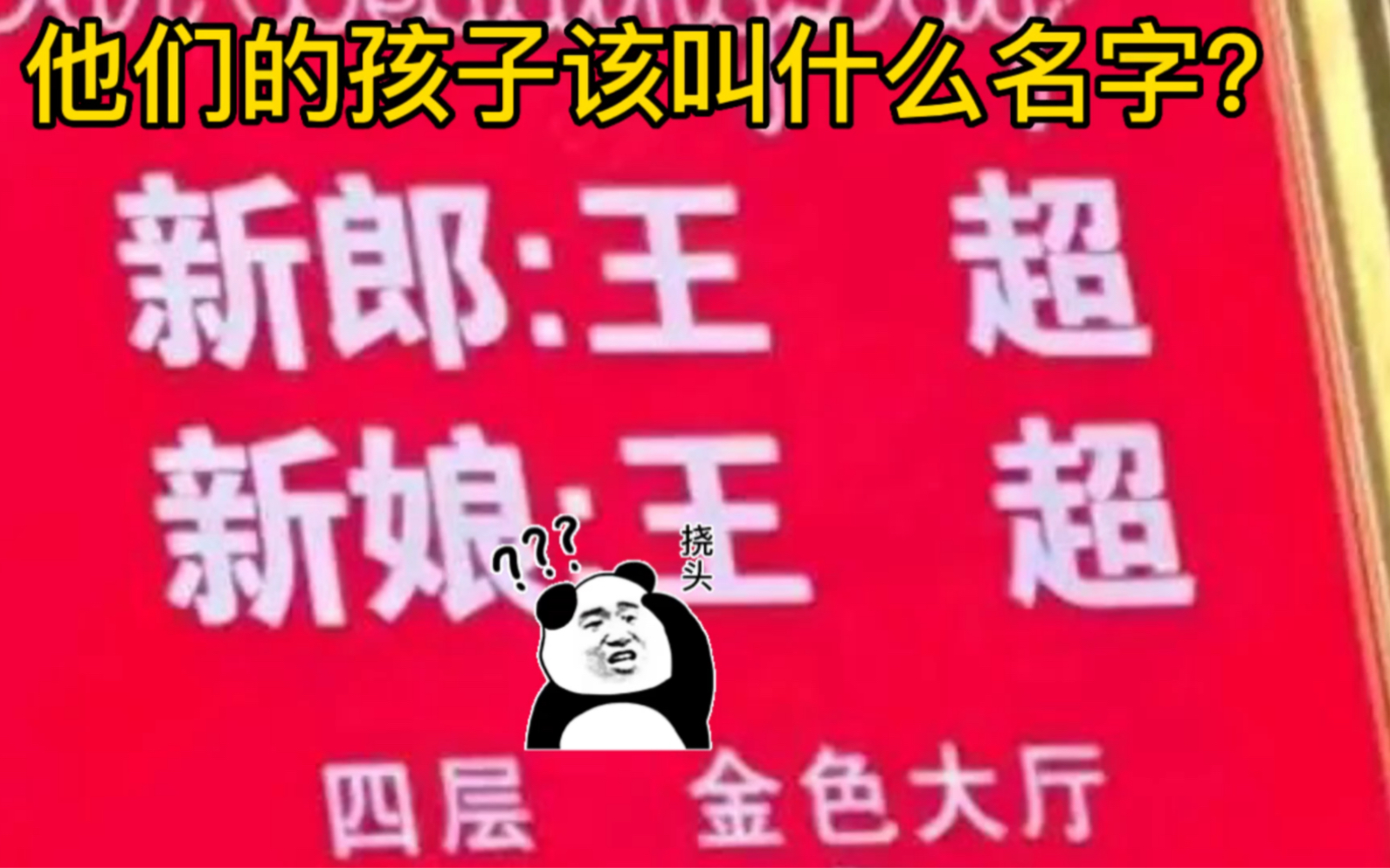 拜托,给他取个好名字吧!哔哩哔哩bilibili