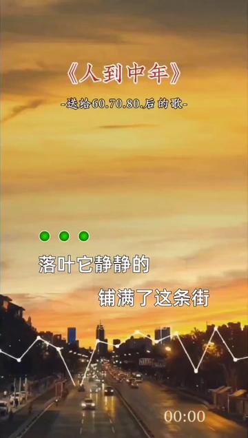 “人到中年才知道生活不易,无所依靠,身后全是依靠你的人...”哔哩哔哩bilibili