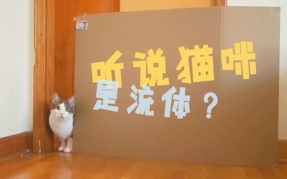 柚子是只鹅的个人空间 哔哩哔哩 つロ乾杯 Bilibili