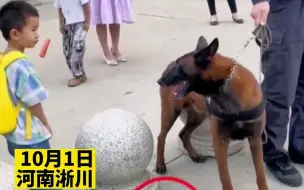 Скачать видео: 警犬在执勤时看到小朋友的烤肠，馋的口水直流。下班后就被立即安排上了