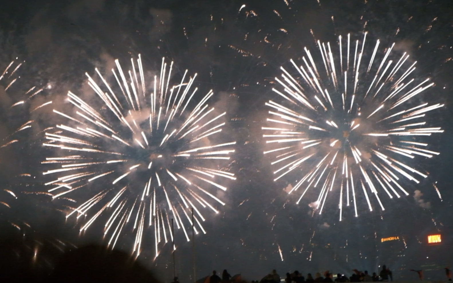 2024年,在香港跨年看到了绝美的烟花秀.
