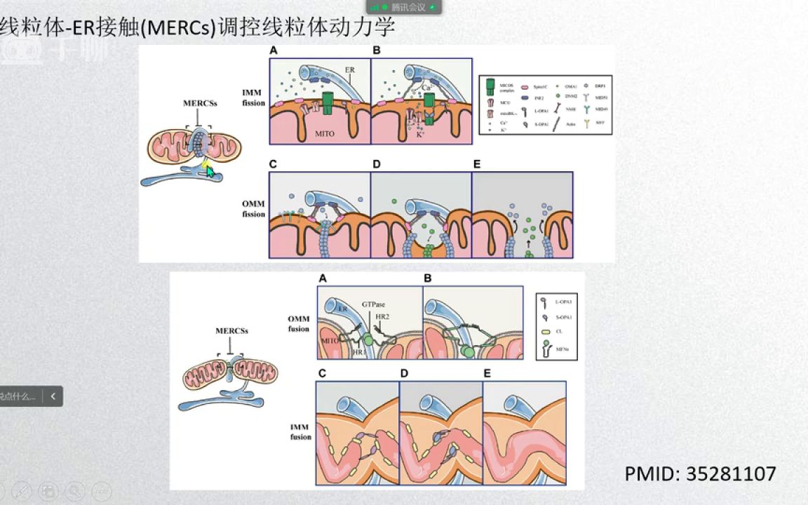 X08体外诊断技术在临床科研中的应用策略医学会员免费学哔哩哔哩bilibili