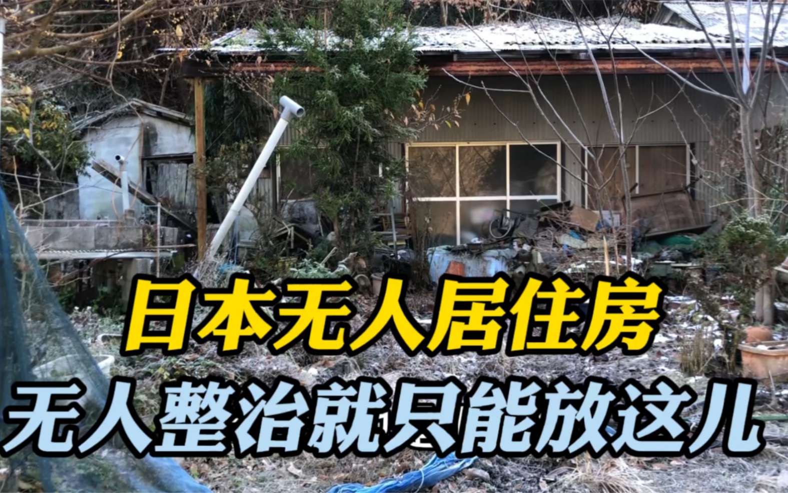 在日本这样的空房子特别多,没有人去整理,一放就是几十年!哔哩哔哩bilibili