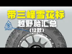 Video herunterladen: 2024年带三峰雪花认证越野胎产品汇总