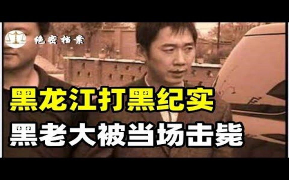 2000年黑龙江打黑纪实,盘踞多年的黑社会团伙,黑老大被当场击毙哔哩哔哩bilibili