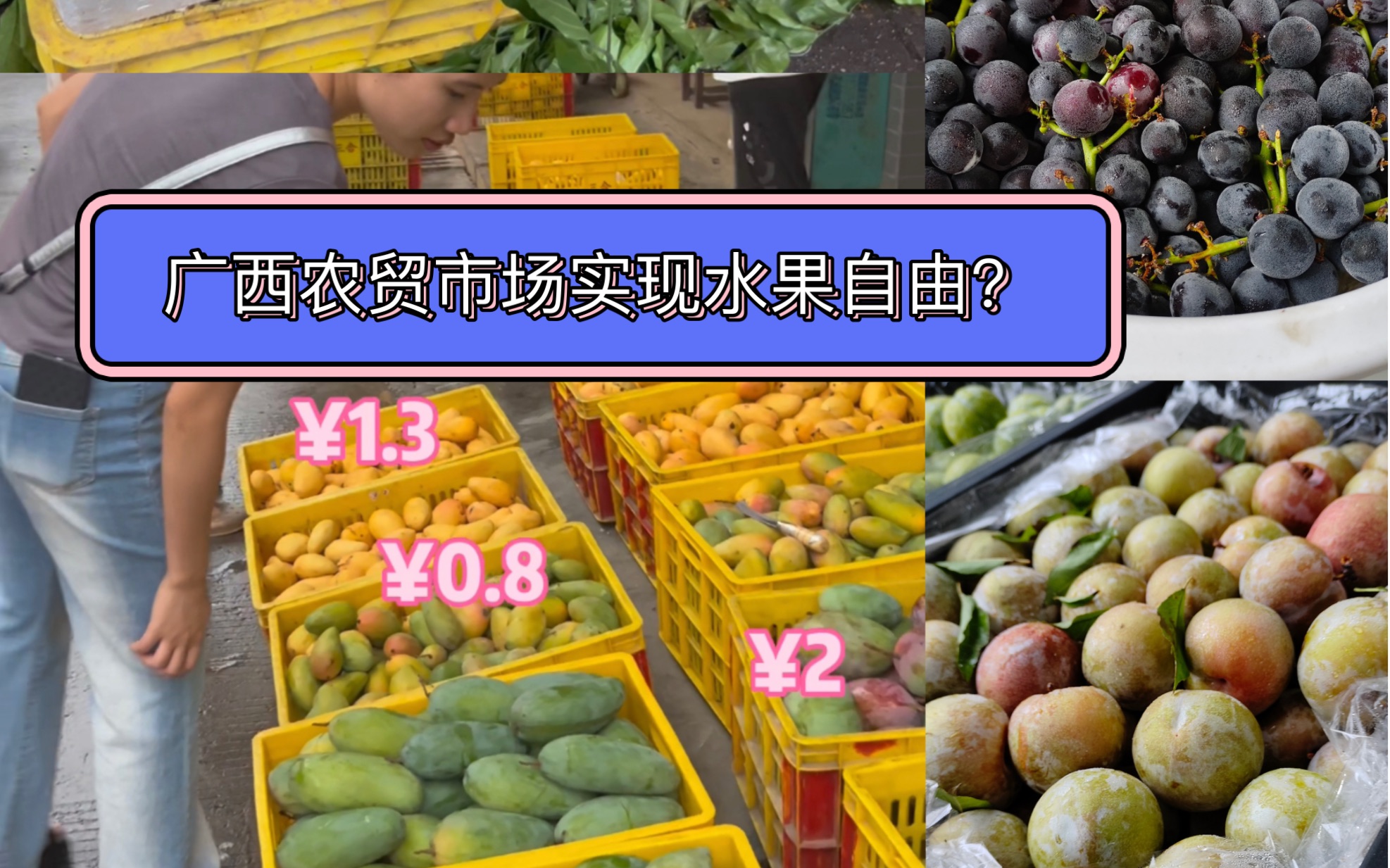 我回广西实现水果自由啦.带你逛逛广西来宾水果批发市场!哔哩哔哩bilibili