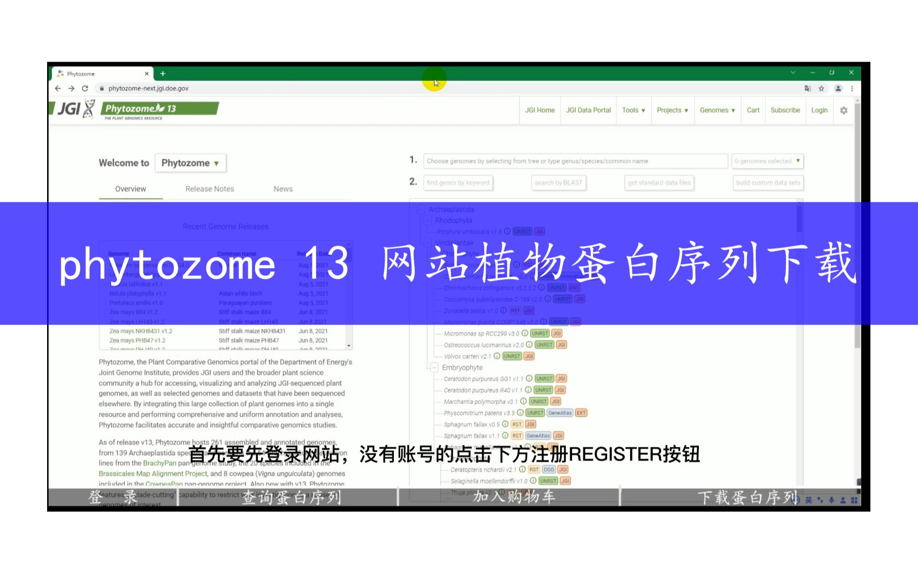 phytozome 13 网站植物蛋白序列下载哔哩哔哩bilibili